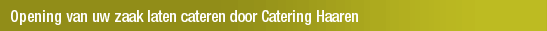 Opening van uw zaak laten cateren door Catering Haaren